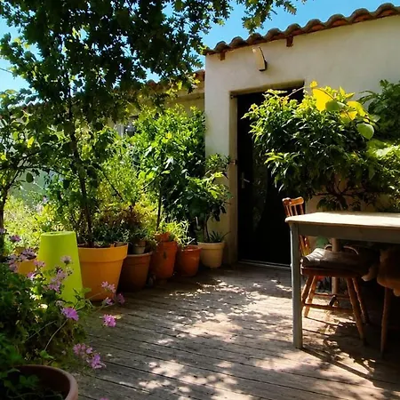 Дом отдыха Maison Climatisee Avec Jardin Arbore Et Barbecue Вильнёв-ле-Авиньон